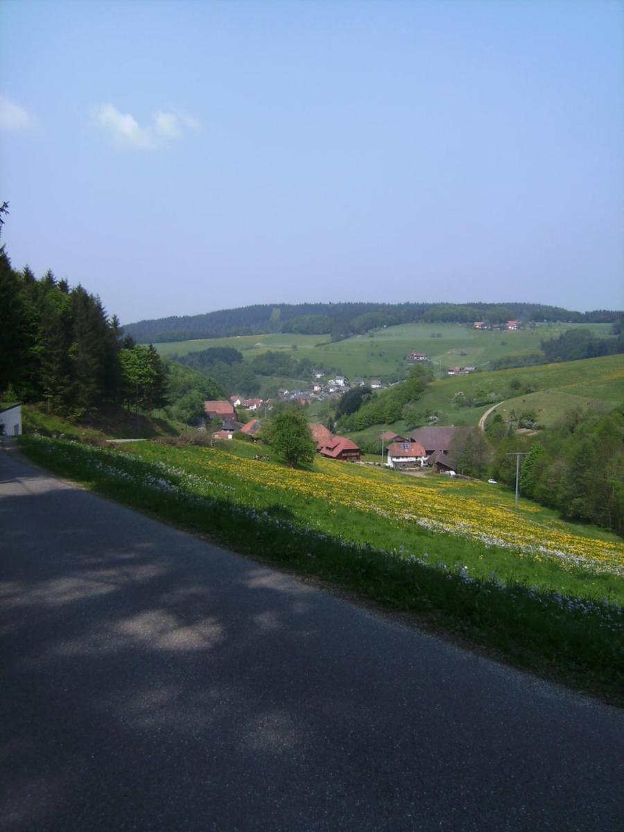 Gasthof Krone Schuttertal Екстериор снимка